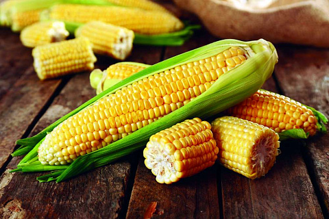 Уборка и послеуборочная обработка кукурузы