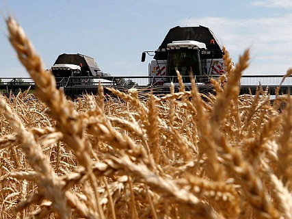 Эдуард Зернин: Россия является лидером по поставкам зерна